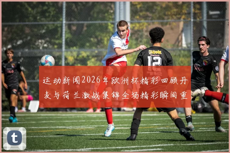 运动新闻2026年欧洲杯精彩回顾丹麦与荷兰激战集锦全场精彩瞬间重温